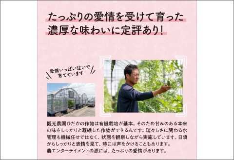 【0233-2】農園直送！原出さんの完熟ミニトマト（あいこ）