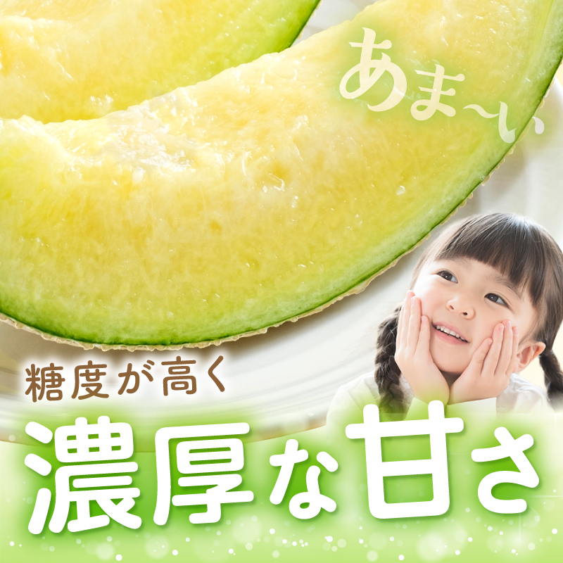 【0250-2】斎藤農園のアールスメロン（マスクメロン）4玉 6kg程度≪先行予約2026年6月下旬以降発送分≫