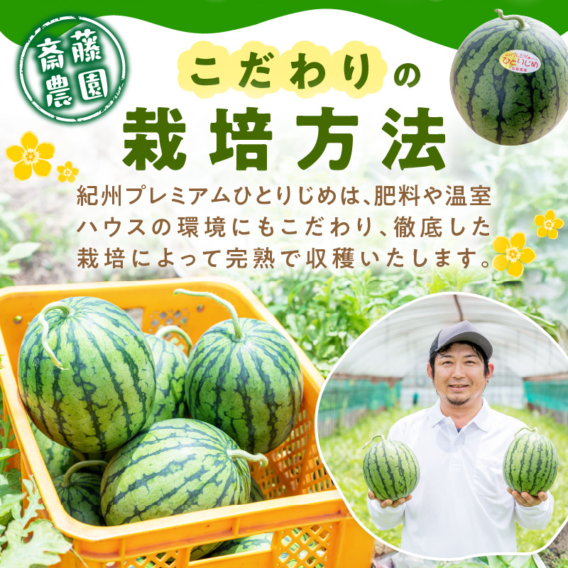 【0251-4】紀州プレミアムひとりじめ（小玉スイカ） 2玉3.5kg程度≪先行予約2026年6月初旬以降発送分≫