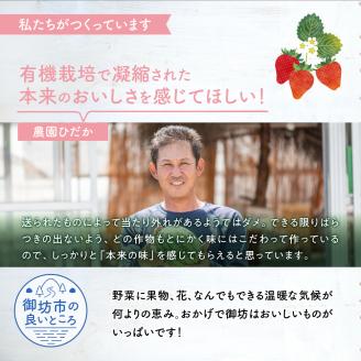 【0269-2】農園直送！原出さんの小玉スイカ（ひとりじめ）《先行予約》【2026年6月下旬頃から順次発送予定】【配送不可地域：北海道、沖縄、離島等】