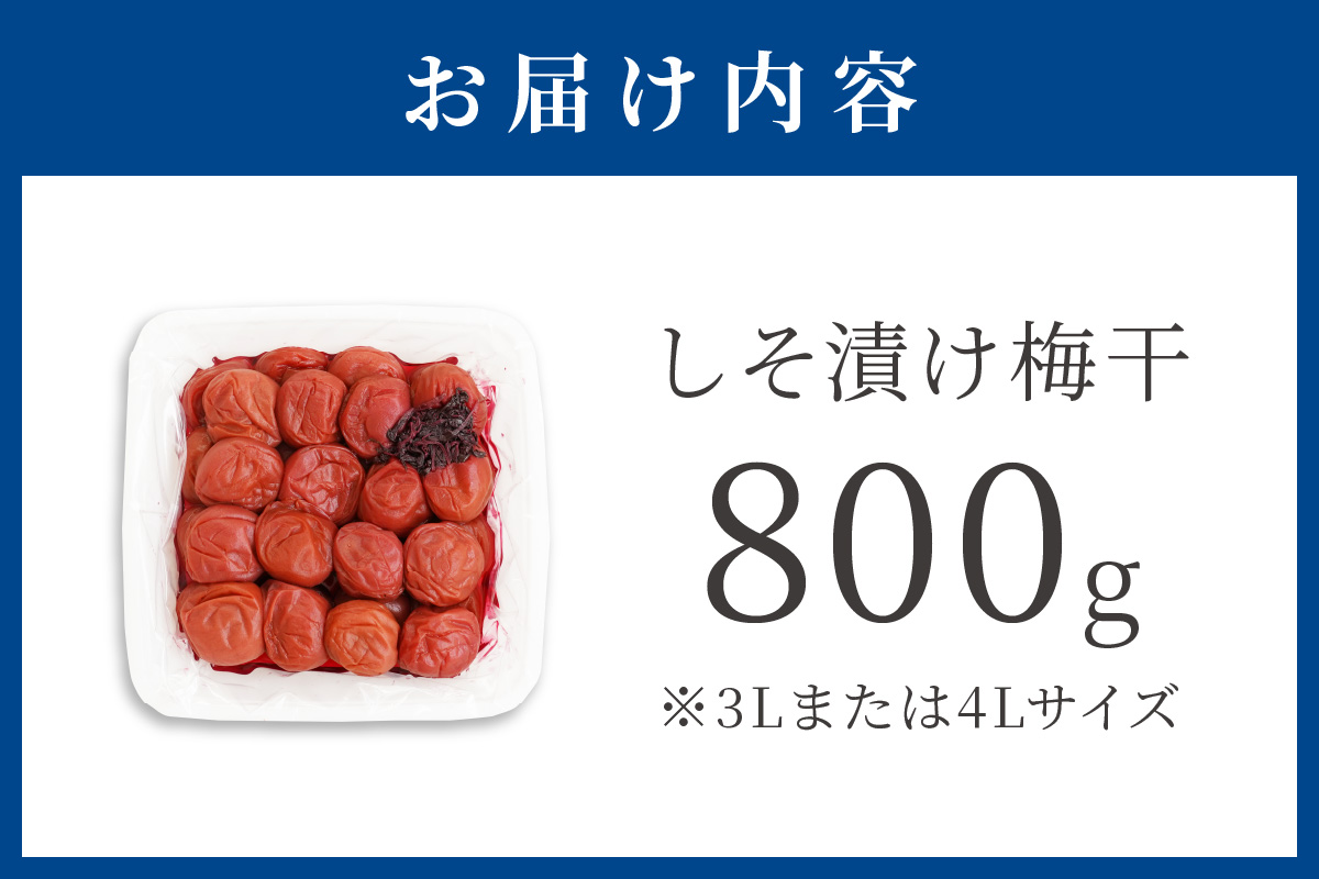 【0281-4】しそ漬け梅干（紀州南高梅）800g 大粒 3L以上 和歌山県産