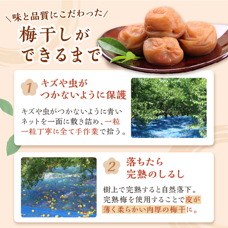 【0457-4】紀州南高梅 はちみつ梅(塩分8%) 2kg（和歌山県産）