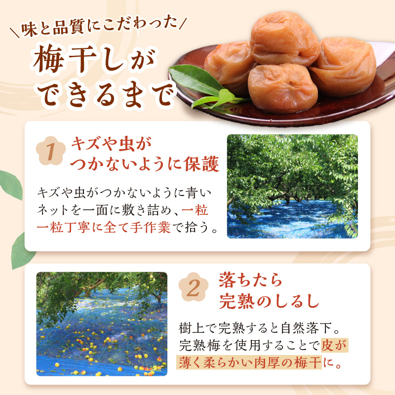 【0458-6】紀州南高梅使用 はちみつ梅(塩分8%) 1.5kg（和歌山県産）