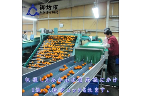 【0553-3】御坊市・日高川町・由良町産 温州みかん（ゆらっ子）5kg