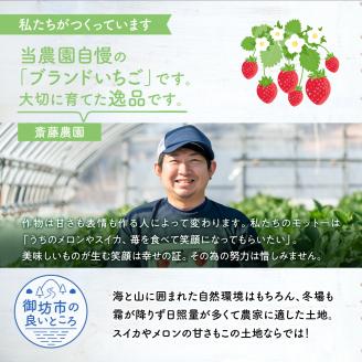 【0566-4】まりひめ4パック入り約1kg「和歌山ブランドいちご」農家直送《先行予約》【配送不可地域：北海道・青森・秋田・岩手・沖縄】