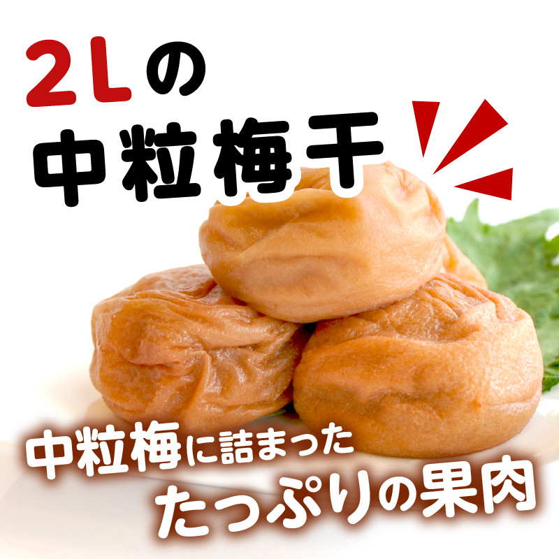 【0580-5】昔ながらのしょっぱい梅干し 2kg 中粒2L（白干梅）［無添加］【ご家庭用】食品添加物 不使用 すっぱい梅干 和歌山県産 紀州南高梅