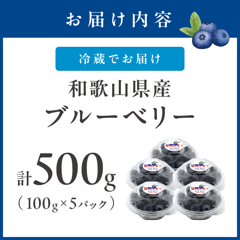 【0704-4】冷蔵ブルーベリー　500ｇ
