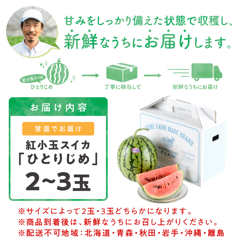 【0750-4】自農園産　紅小玉スイカ「ひとりじめ」2～3玉≪先行予約≫2026年6月中旬から順次発送【 配送不可地域：北海道・青森・秋田・岩手・沖縄・離島】
