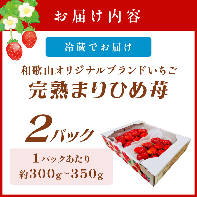 【0817-5】【和歌山オリジナルブランドいちご】完熟まりひめ苺　２パック《先行予約》