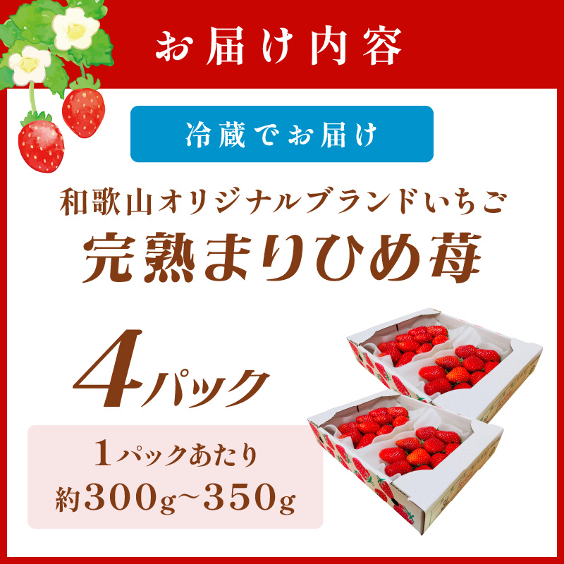 【0818-6】【和歌山オリジナルブランドいちご】完熟まりひめ苺　４パック《先行予約》