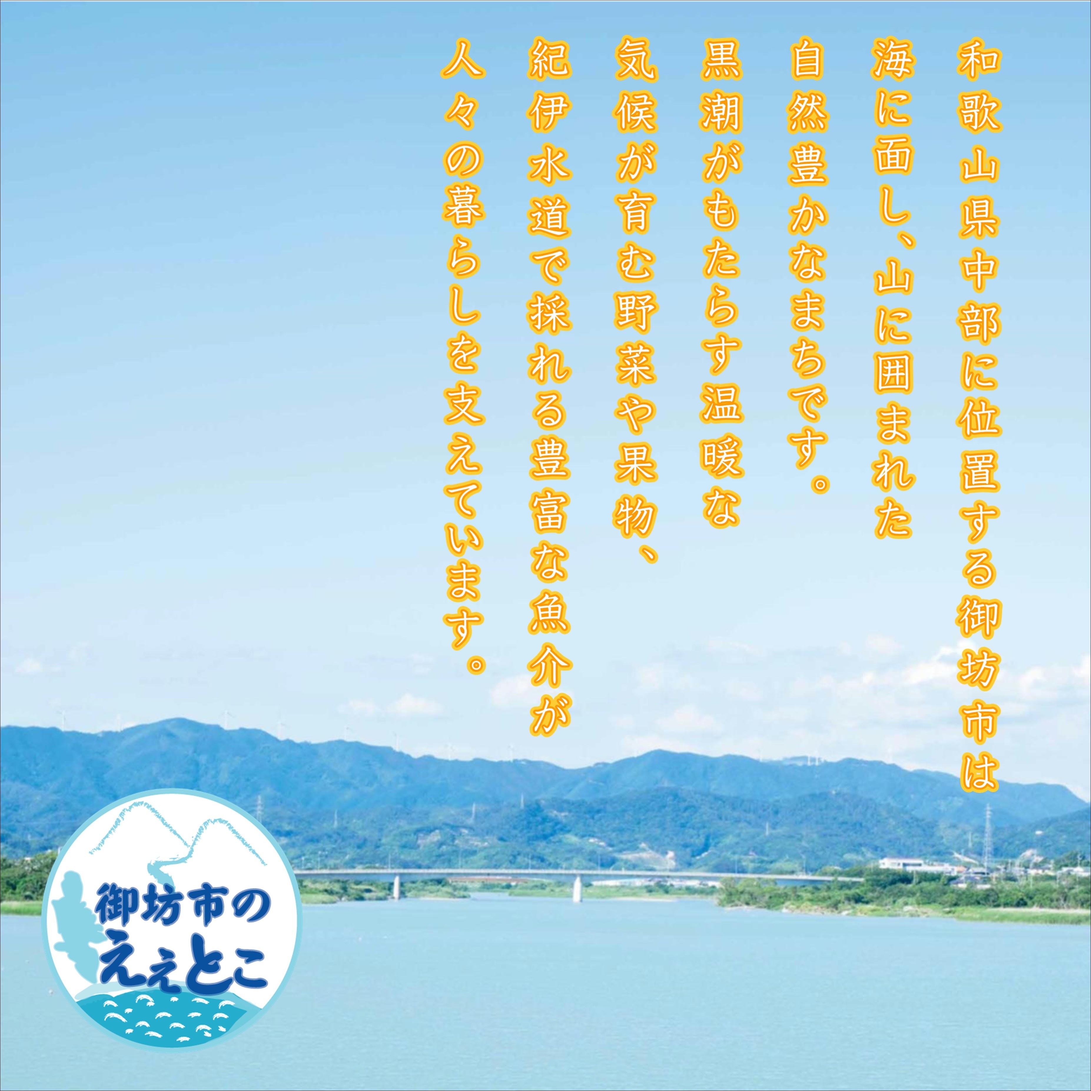 【0919-4】【家庭用】紀州南高梅　はちみつ漬つぶれ梅　2ｋｇ