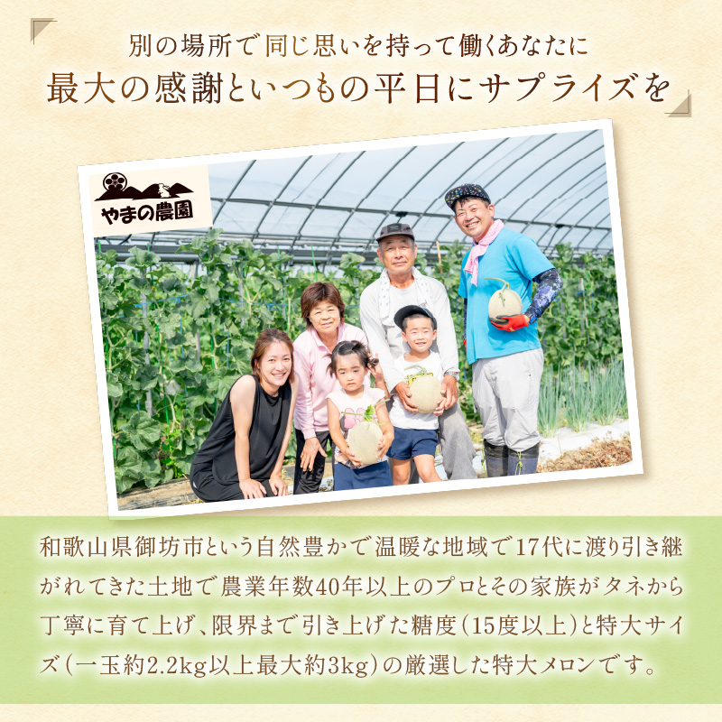 【0926-3】やまの農園　感謝のメロン～一期一会「べんけい」～≪先行予約≫【2026年7月中旬より順次発送予定】