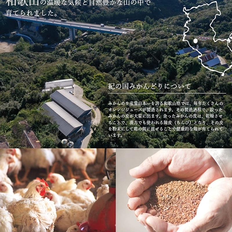 【1050-3】紀の国みかんどり　丸鶏　1羽(約2kg)