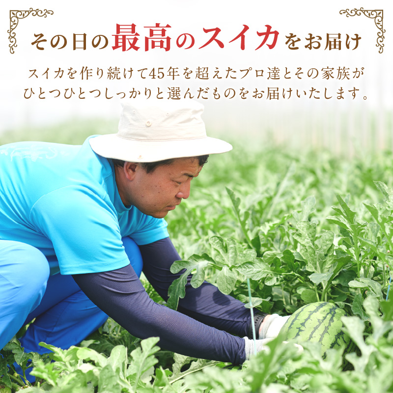 【1087-3】やまの農園　「ひとりじめ」キングサイズ　1玉≪先行予約≫【2026年6月中旬より順次発送予定】