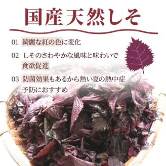 【1125-2】しそ漬け梅干（紀州南高梅）1.6kg 大粒 3L以上 和歌山県産