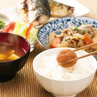 【1133-3】紀州南高梅 うす塩味1kg