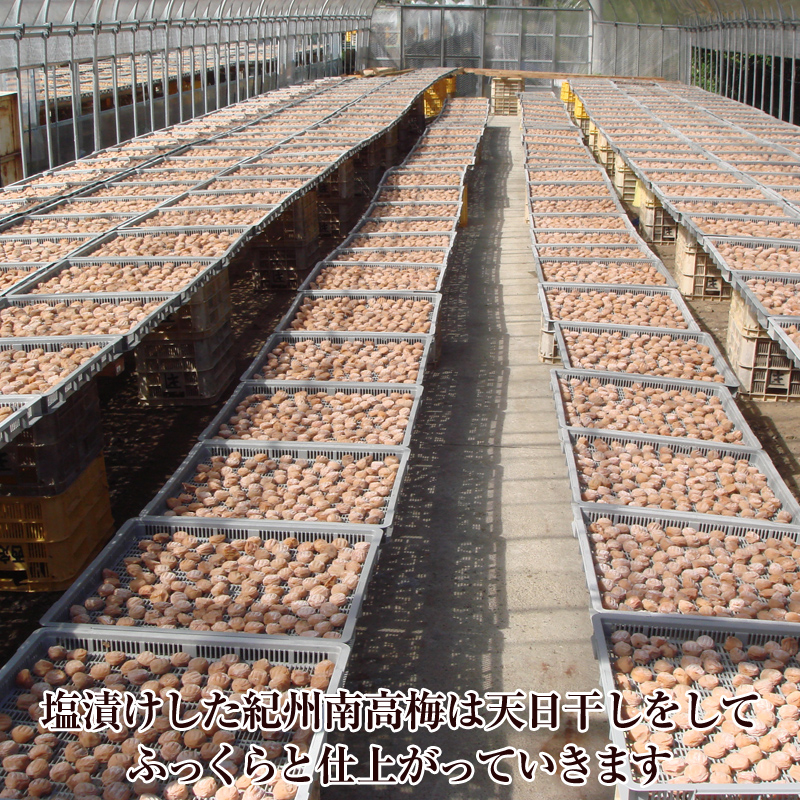 【1153-2】紀州南高梅しそプレミアム塩分約６％ 500ｇ×１