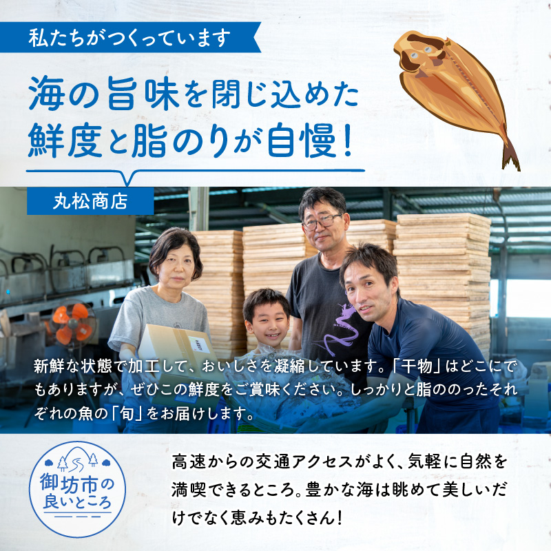 【1180】【国産】紀州特産干物詰合せ　大セット