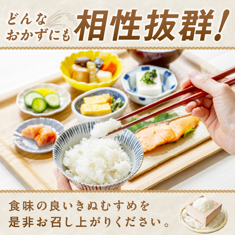 【1186】令和7年産　和歌山県産　「きぬむすめ」精米10㎏