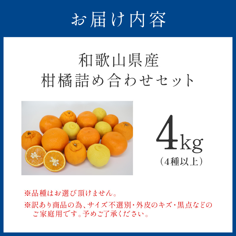 【1199】柑橘詰め合わせセット 家庭用４種以上 約4kg 和歌山産≪先行予約2026年1月下旬頃より順次発送分≫