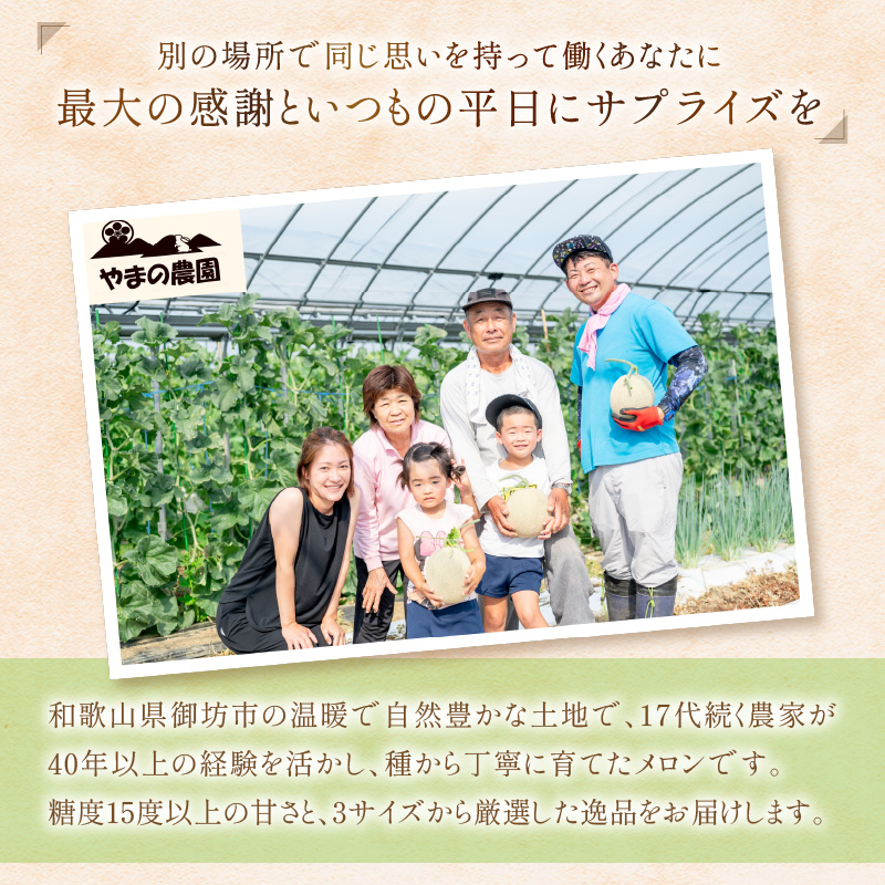 【1269】やまの農園　感謝のメロン～一期一会「べんけい」～2玉≪先行予約≫【2026年7月中旬より順次発送予定】