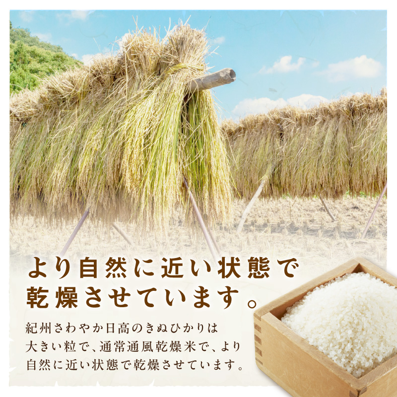 【1295】御坊・日高地方産　粒より米　きぬひかり　5kg