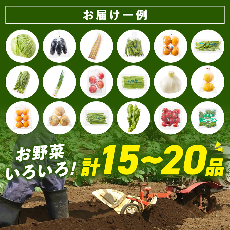 【8012-2】紀州の野菜・果物セット定期便（15～20品目）年6回