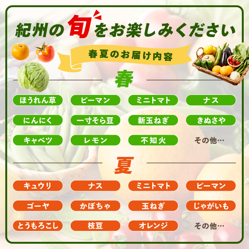 【8064】紀州の野菜・果物セット（9～14品目）定期便年6回