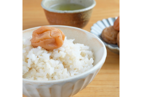 【0589-3】はちみつ梅干し〔贈答・ギフト用〕個包装 12粒（大粒4L）