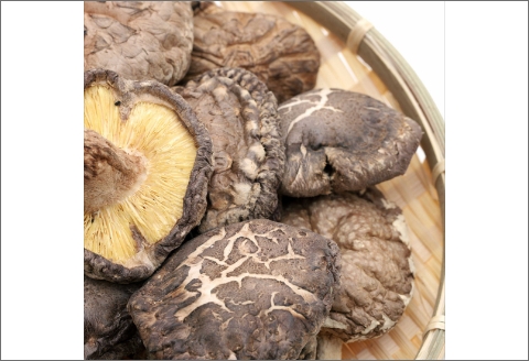 【0740-3】いなみなみなみ椎茸だし