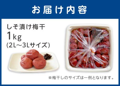 【0399-3】しそ漬け梅干し 1kg 昔ながらのしょっぱい梅干し すっぱい梅干（塩分約17%）和歌山県産