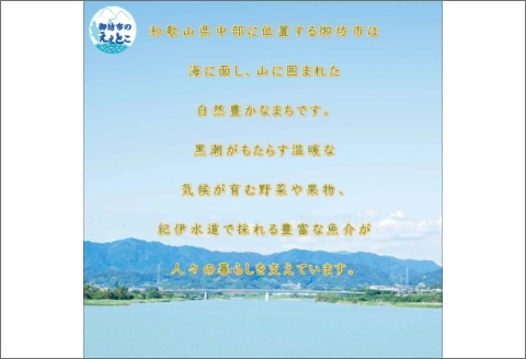 【0698-3】野尻醤油丸大豆醤油200ｍ、さしみ醤油200ml（各3本）