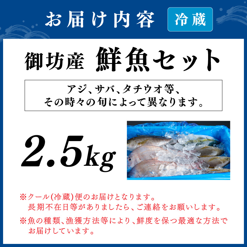 【0007-3】御坊産　鮮魚セット2.5kg【配送不可地域】沖縄・北海道・東北・九州