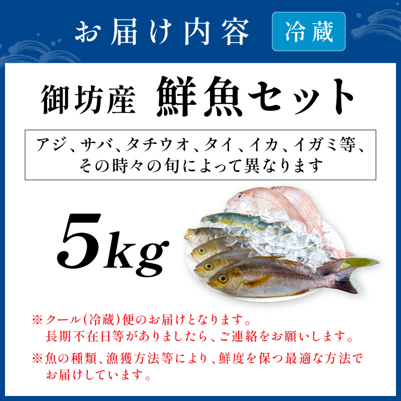 【0008-2】御坊産　鮮魚セット5kg【配送不可地域】沖縄・北海道・東北・九州