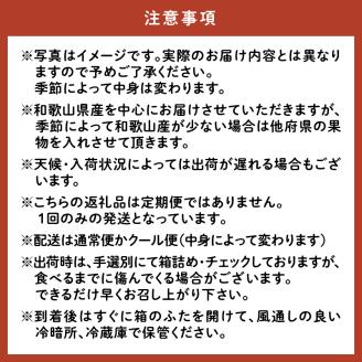【0047-4】フルーツ王国和歌山のフルーツセット