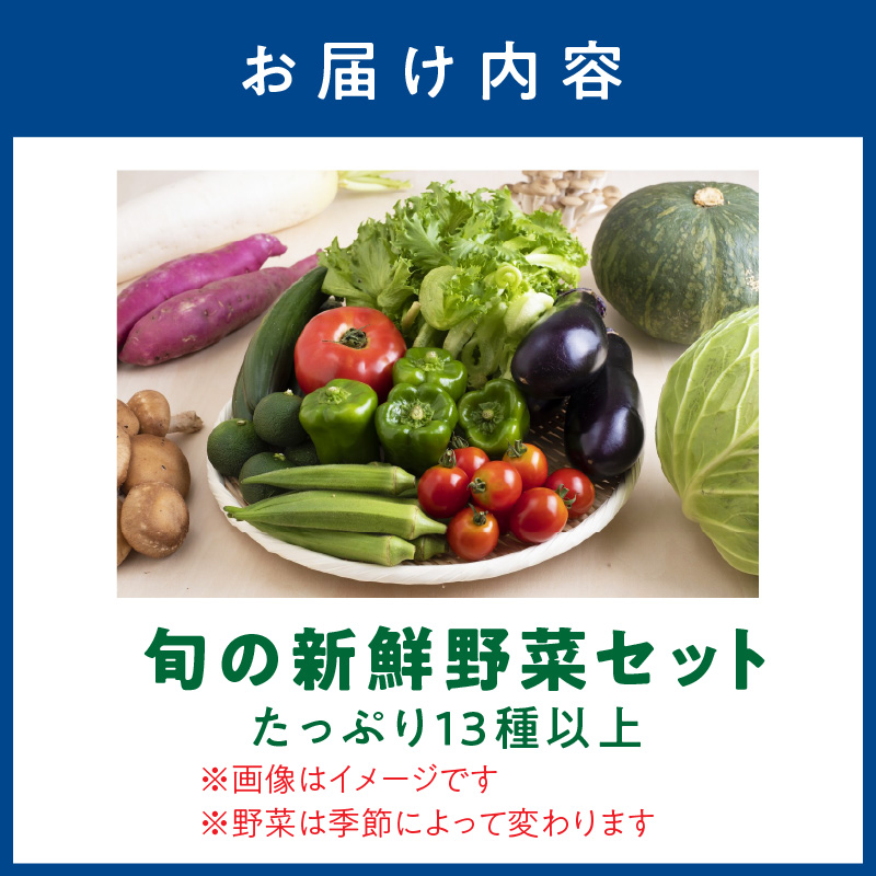 【0054-3】旬の新鮮野菜セットたっぷり13種以上