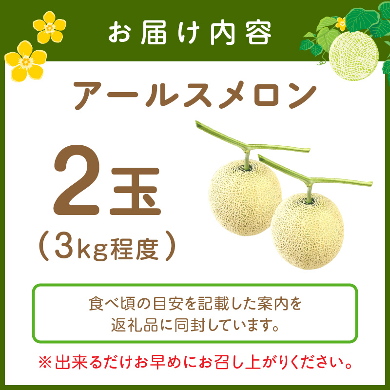 【0249-4】斎藤農園のアールスメロン（マスクメロン）2玉3kg程度≪先行予約2026年6月下旬以降発送分≫