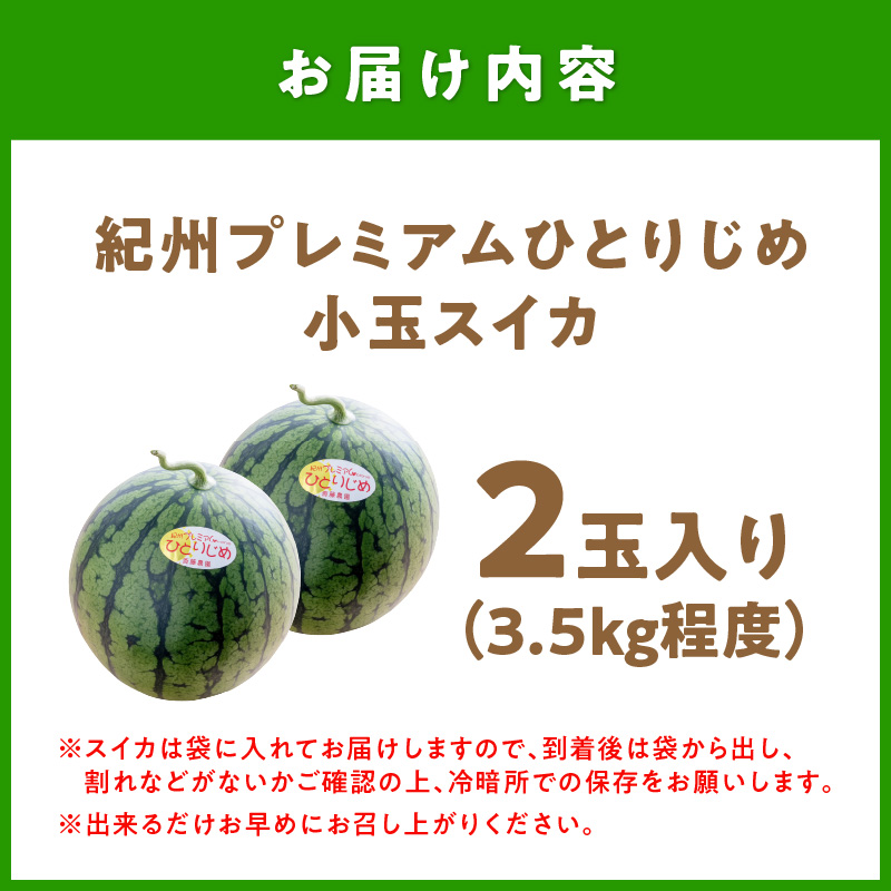【0251-4】紀州プレミアムひとりじめ（小玉スイカ） 2玉3.5kg程度≪先行予約2026年6月初旬以降発送分≫