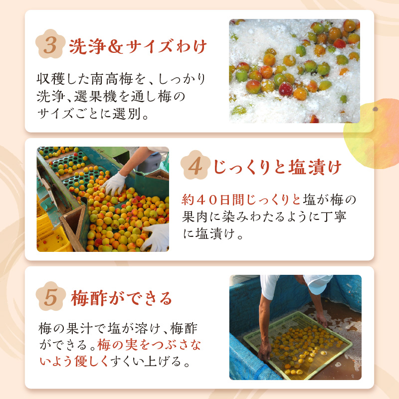 【0457-4】紀州南高梅 はちみつ梅(塩分8%) 2kg（和歌山県産）