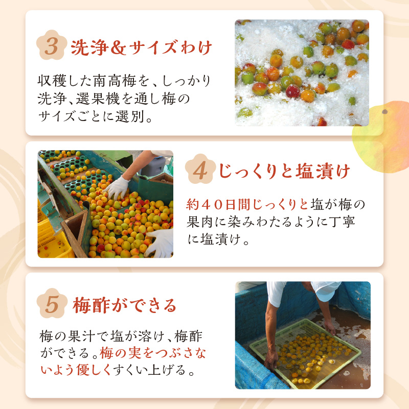 【0458-6】紀州南高梅使用 はちみつ梅(塩分8%) 1.5kg（和歌山県産）