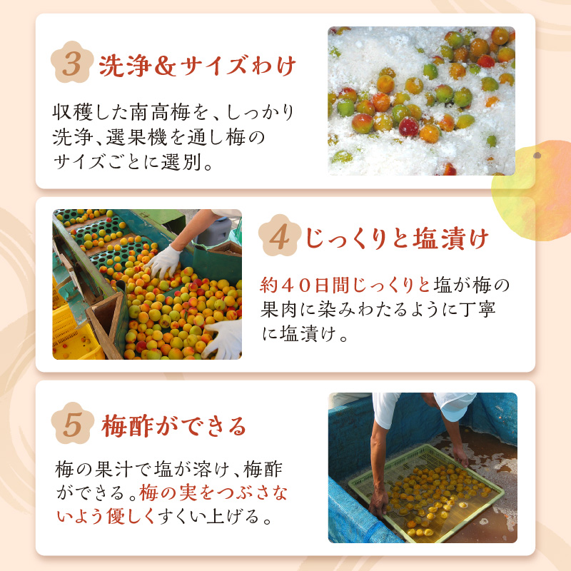 【0519-4】贈答 紀州南高梅 はちみつ梅木樽入り 1kg