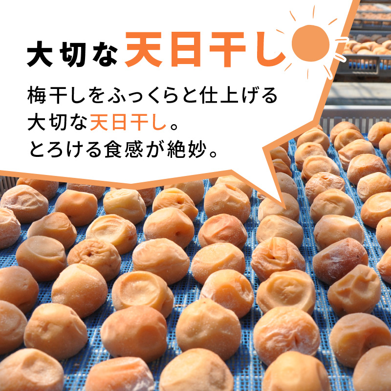【0580-5】昔ながらのしょっぱい梅干し 2kg 中粒2L（白干梅）［無添加］【ご家庭用】食品添加物 不使用 すっぱい梅干 和歌山県産 紀州南高梅