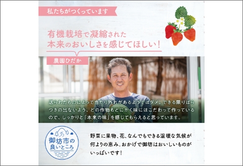 【0707-2】農園直送！原出さんの完熟イチゴ「ゆめのか」デラックス
