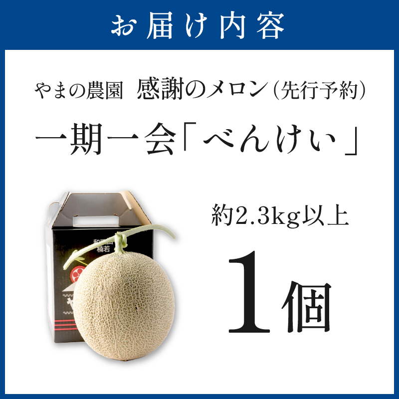 【0926-3】やまの農園 感謝のメロン～一期一会「べんけい」～1玉≪先行予約≫【2026年7月中旬より順次発送予定】