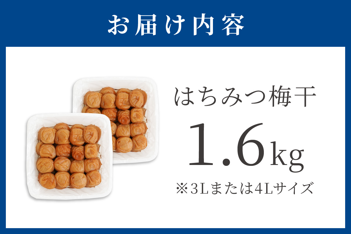 【1123-2】はちみつ梅干（紀州南高梅）1.6kg 大粒 3L以上 和歌山県産