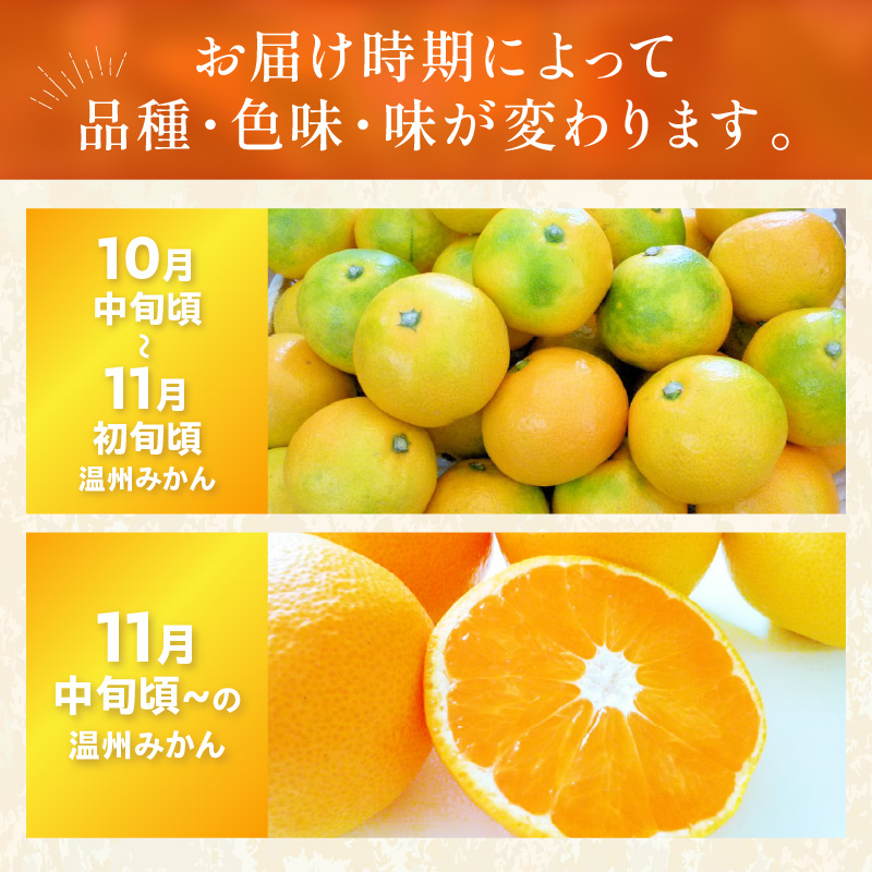 【1171-2】「濃厚な味のとろける美味しさ」温州みかん 2.5kg《先行予約》