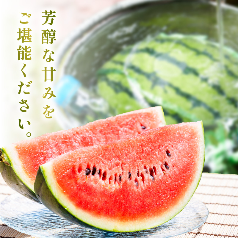 【1246】選び抜いた！小玉すいか　ピノガール　2L　2玉《先行予約》2026年6月上旬から順次発送予定【 配送不可地域：北海道・沖縄・離島】