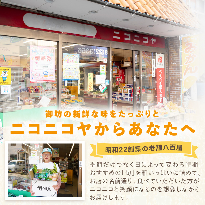 【8065】紀州の野菜・果物セット（9～14品目）定期便年12回