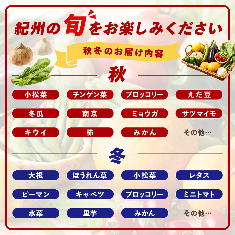 【8066】紀州の野菜・果物セット（15～20品目）定期便年12回