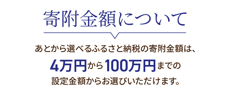 【9998-9】あとからセレクト【ふるさとギフト】寄附25万円相当